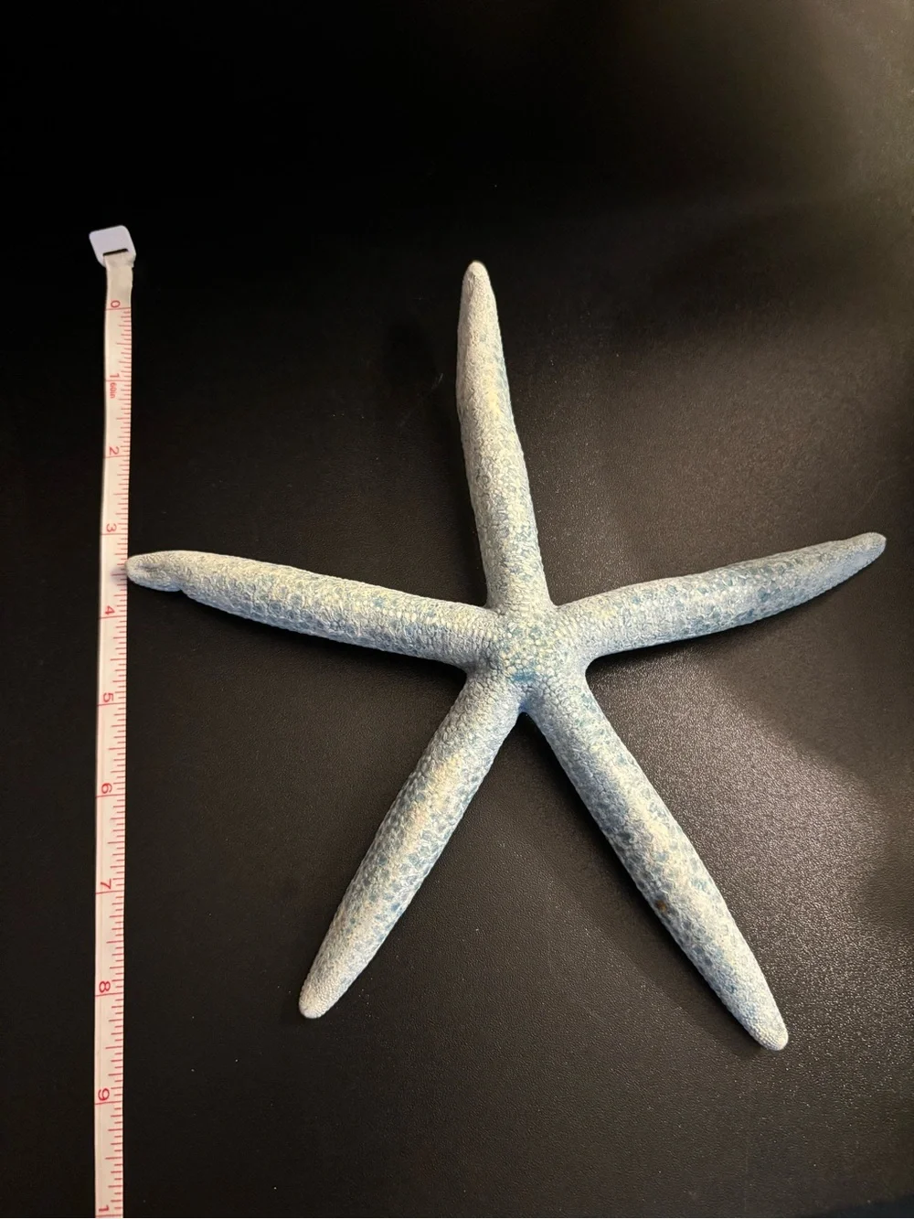 Starfish Pair - Blue & Natural Tan Coastal Accents - Picture 6 of 6